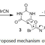 Scheme 3. Proposed mechanism of 2a formation.