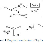Scheme 4. Proposed mechanism of 2g formation.