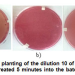 Figure 5. Comparison of the planting of the dilution 10 of the residual (a), planting of the dilution 1 of the water treated 5 minutes into the batch photoreactor (b) and the planting of the dilution 1 after 1 hour of residual water treated by the solar collector (c). 
