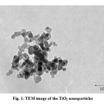  Fig. 1: TEM image of the TiO2 nanoparticles