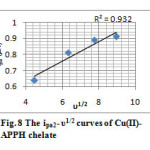 Fig. 8 The ipa2- υ1/2 curves of Cu(II)- APPH chelate