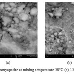Figure 2. SEM hydroxyapatite at mixing temperature 50°C (a) 15000x, (b) 5000x.