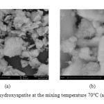 Figure 3. SEM of hydroxyapatite at the mixing temperature 70°C (a)5000x, (b) 15000x.