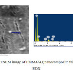 Figure 1. FESEM image of PMMA/Ag nanocomposite thin film with EDX
