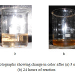 Figure 4. Photographs showing change in color after (a) 5 minutes and (b) 24 hours of reaction