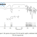 Figure 5. IR spectra of (a) pure TX-100 and (b) AgNO3 stabilized with TX-100 respectively