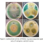 Figure 6. Antibacterial activity of PMMA/ Ag nanocomposites against (a,b,c) P.aeruginos, and (d) S.aureus
