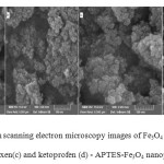 Fig. 4 Field emission scanning electron microscopy images of Fe3O4 (a), APTES Fe3O4 (b), naproxen(c) and ketoprofen (d) - APTES-Fe3O4 nanoparticles