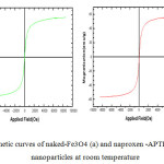 Fig .7 Magnetic curves of naked-Fe3O4 (a) and naproxen -APTES-Fe3O4(b)- nanoparticles at room temperature