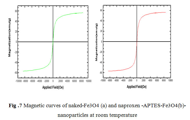 Fe3O4 nanoparticles modified with APTES as the carrier for 