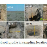 Fig.  5 – Pattern of soil profile in sampling locations 