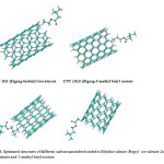 Fig.4. Optimized structures of different carbon nanotubes bonded to Ethylisovalerate ,Propyl   isovalerate ,Isobutyl isovalerate and  3-methyl butyl acetate.