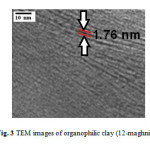 Fig. 3 TEM images of organophilic clay (12-maghnite).