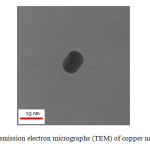 Fig. 4.  Transmission electron micrographs (TEM) of copper nanoparticles