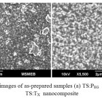 Figure 1= Fig. 1 SEM images of as-prepared samples (a) TS:PEG  nanocomposite, and (b) TS:TX  nanocomposite