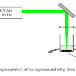 Fig.3. Schematic representation of the experimental setup (laser ablation) (Ref. 25)