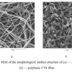 Fig. 1: The SEM of the morphological surface structure of (a) — polycationic,  (b) — polybasic CTS fiber.