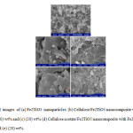FIG. 4.  SEM  images  of (a) Fe2TiO5  nanoparticles  (b) Cellulose/Fe2TiO5 nanocomposite with Fe2TiO5 content of (10) wt% and (c) (20) wt% (d) Cellulose acetate/Fe2TiO5 nanocomposite with Fe2TiO5 content of (10) wt% and (e) (20) wt%.