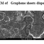 Plate1: SEM of   Graphene sheets dispersed in water 