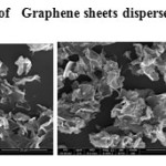 Plate2: SEM of   Graphene sheets dispersed  in ethanol 