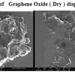 Plate4 . SEM of   Graphene Oxide ( Dry ) dispersed  in ethanol