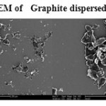 Plate 5 .  SEM of   Graphite dispersed  in water 