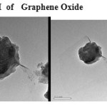 Plate 8: TEM  of   Graphene Oxide 