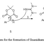 Scheme 2: Proposed mechanism for the formation of Guanidium-Meldrum acid zwitterionic salts