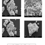Fig. 5 SEM studies of Zinc oxide