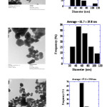 Fig.  6. TEM studies of Zinc oxide NPs