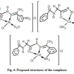 Fig. 4: Proposed structures of the complexes