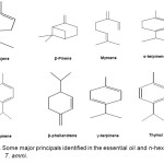 Figure (2). Some major principals identified in the essential oil and n-hexane extract of                T. ammi. 