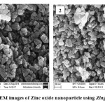 Figure 1& 2: SEM images of Zinc oxide nanoparticle using Zingiber officinale