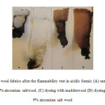 Fig6: Images of wool fabrics after the flammability test in acidic formic (A) untreated wool, (B) mordanted with 9% zirconium saltwool, (C) dyeing with madderwool (D) dyeing with madder and 9% zirconium salt wool