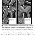 Fig7: SEM images in both of acidic environment (a) dyeing with madder wool fiber, (b) wool fibers dyeing with madder and  1%zirconium salt in before - mordant method(c) wool fibers dyeing with madder and  9%zirconium salt in before - mordant method(d) wool fibers dyeing with madder and  1%zirconium salt in simultaneously- mordant method (e) wool fibers dyeing with madder and 9%zirconium salt in simultaneously- mordant method(f) wool fibers dyeing with madder and  1%zirconium salt in after-mordant  method (g) wool fibers dyeing with madder and  9%zirconium salt in after-mordant  method.