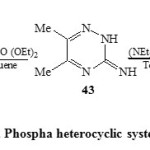 Scheme 11. Phospha heterocyclic systems