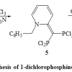 Scheme 2. synthesis of 1-dichlorophosphino-2-phosphoindolizine