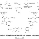Scheme 5. synthesis of fused phosphaheterobi-cyclic nitrogen system containing 1,2,4-triazine moiety 
