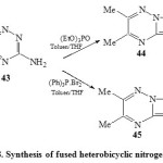 Scheme8: Synthesis of fused heterobicyclic nitrogen systems