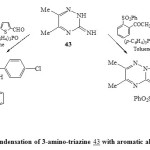 Scheme 9. Condensation of 3-amino-triazine 43 with aromatic aldehyde