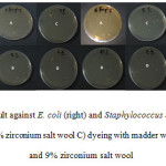  Fig9: Antibacterial test result against E. coli (right) and Staphylococcus aureus (left) A) untreated wool B) mordanted with 9% zirconium salt wool C) dyeing with madder wool D) dyeing with madder and 9% zirconium salt wool