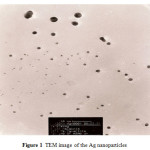 Figure 1  TEM image of the Ag nanoparticles