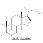 Fig.-1: Ergosterol