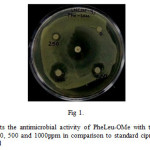 Fig 1. The disk represents the antimicrobial activity of PheLeu-OMe with their zone of inhibition at threeconcentrations of 250, 500 and 1000ppm in comparison to standard ciprofloxacin (± 30 mm) and solvent (Methanol) control