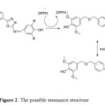 Figure 2. The possible resonance structure