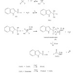 Scheme 1   Mechanism of oxidation of  indole-2-aldehyde  by BIFC 