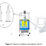Figure 1: Batch crystallizer and agitator device