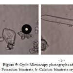 Figure 5: Optic Microscopy photographs of: a- Potassium bitartrate, b- Calcium bitartrate crystal 