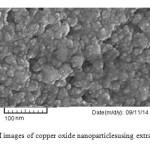 Fig. 3) SEM images of copper oxide nanoparticlesusing extract of E.coli