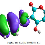        Fig.6a. The HOMO orbitals of L1                             